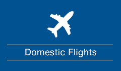 Domestic Flights