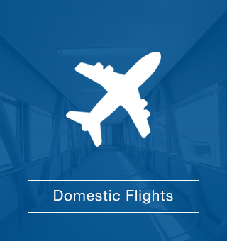 Domestic Flights