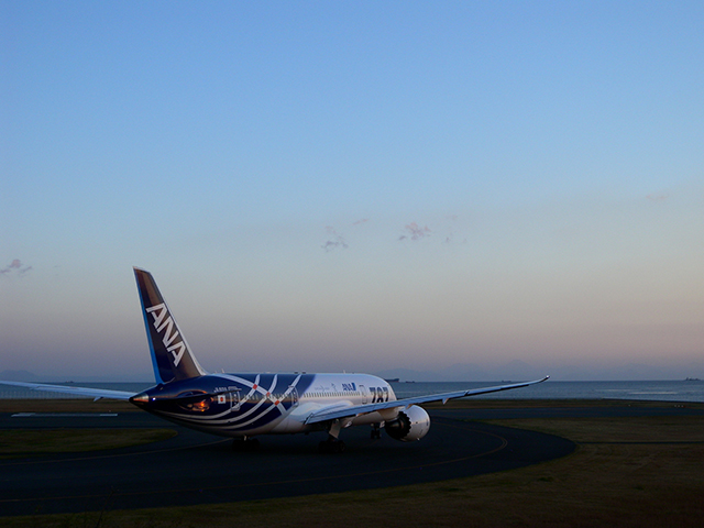 画像:B787