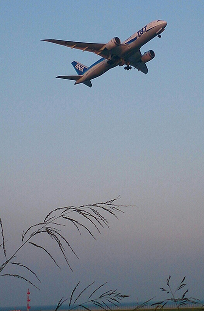 画像:B787