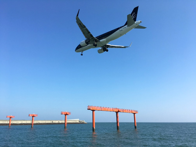 画像:たまたま真正面