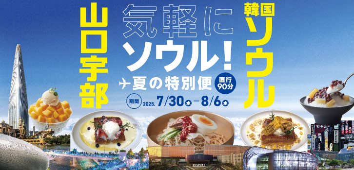気軽にソウル！夏の特別便（直行90分）