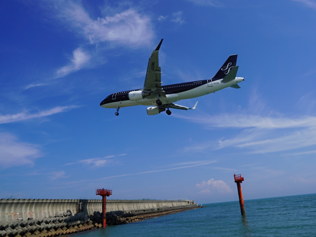 画像:空飛ぶクジラ?着陸!