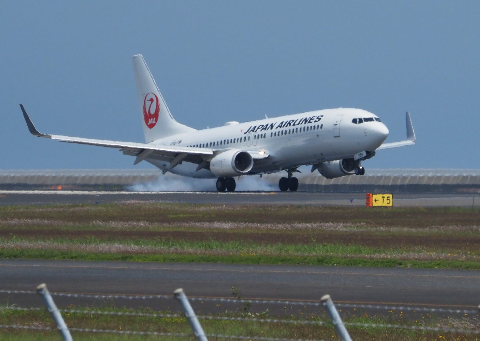 画像:着陸っ!