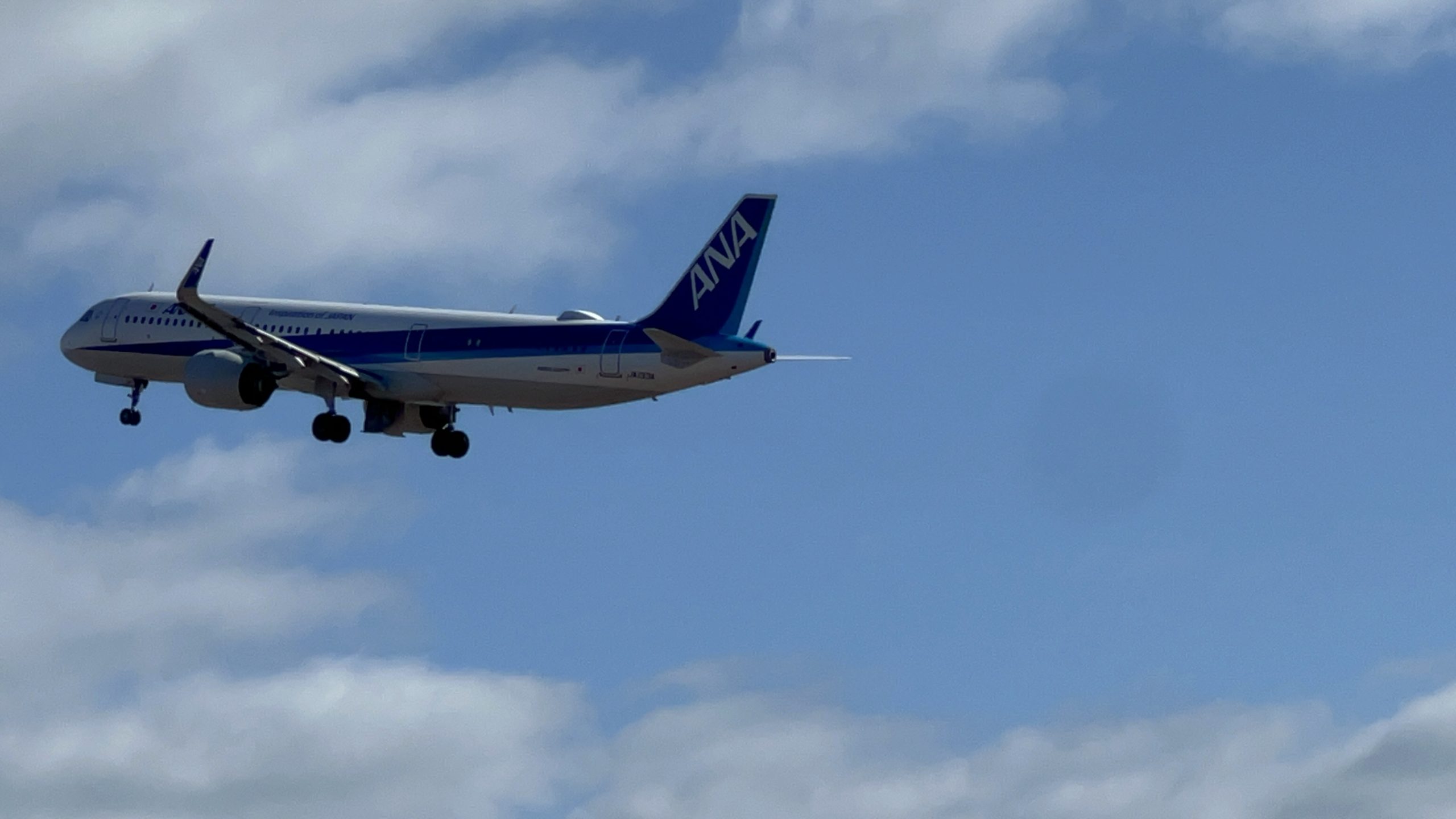 画像:ANA 青空に向けて