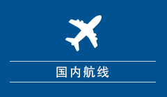 国内線